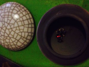 11052373_10153134135848114_3610344439178508566_n