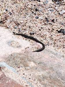 11060315_10153302124028114_5603995307162933976_n