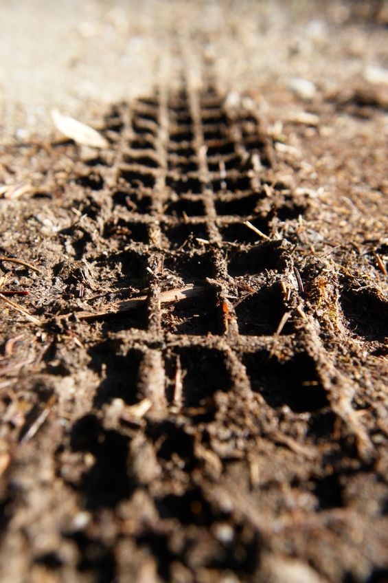 11139099 - close-up of a mountainbike track